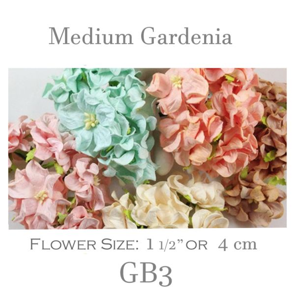 Medium Gardenia GB3